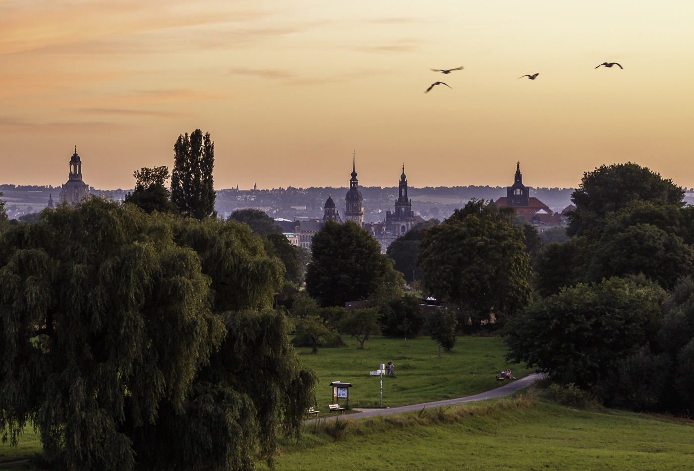 Dresden