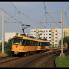 Dresden : 224 230