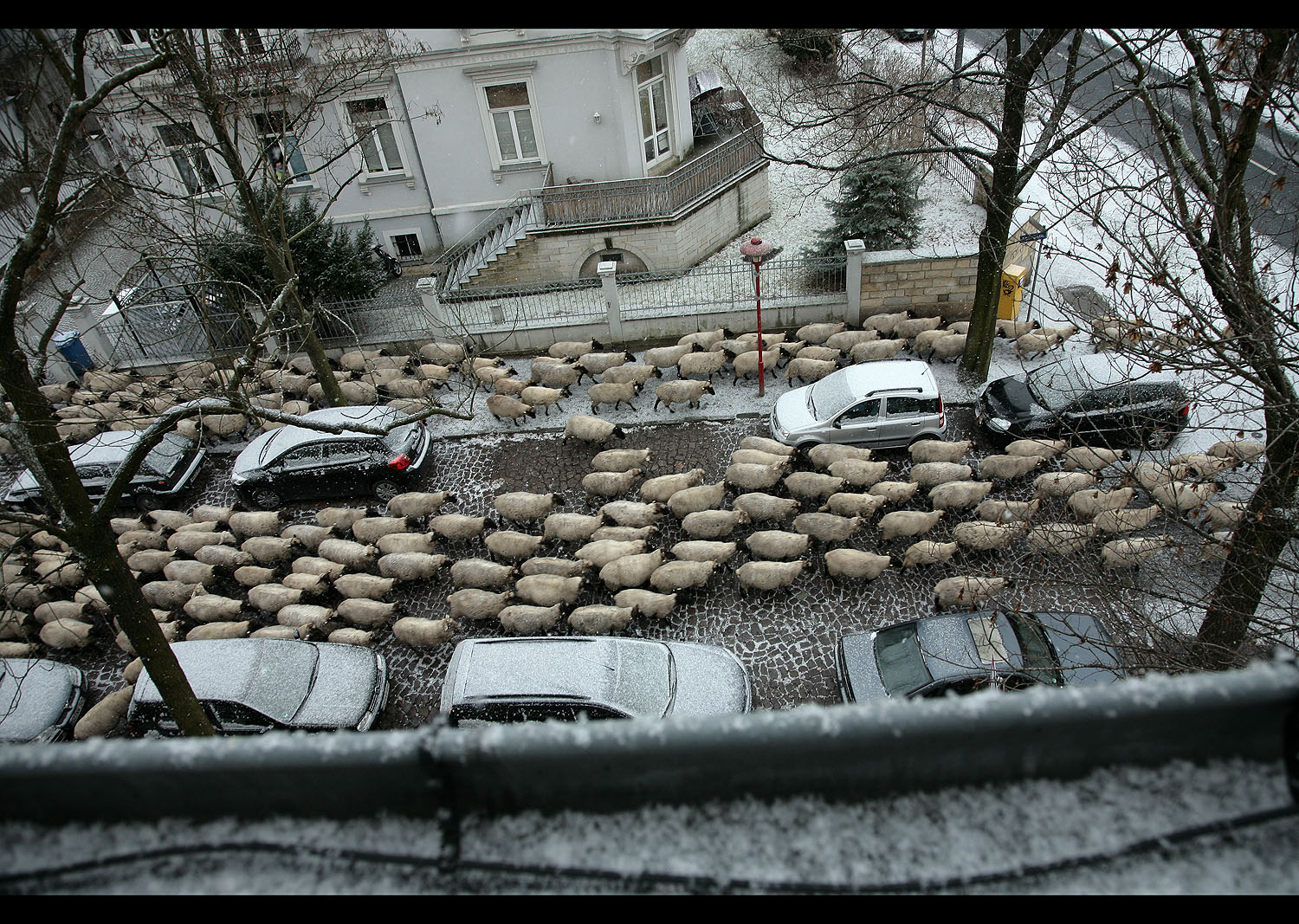 Dresden, 3. Adventssonntag 2009