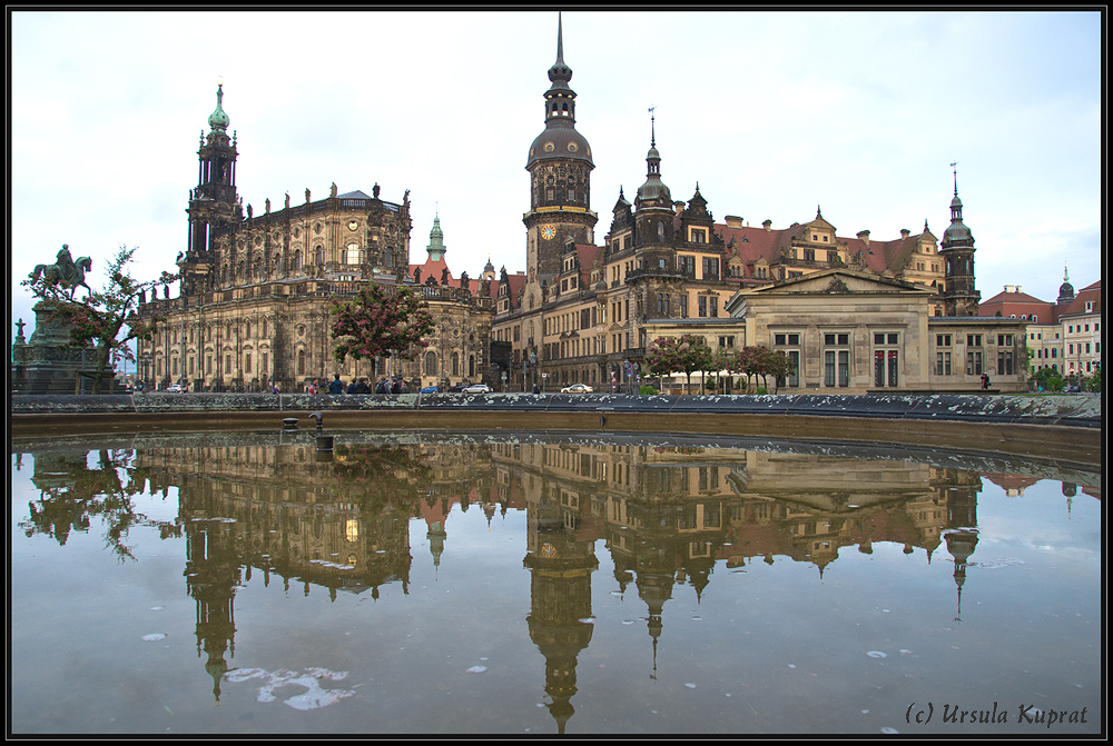 Dresden *5