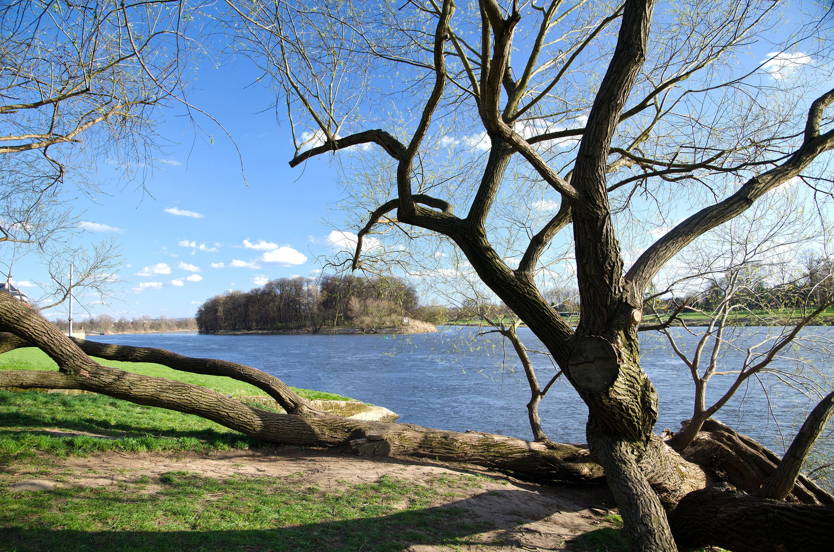 Dresden (5): Die Elbwiesen bei Schloss Pillnitz