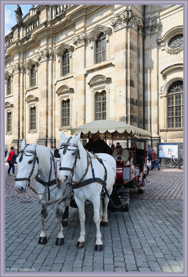 Dresden Altstadt 2019-04-30 036 ©