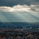 Dresden am 16.11.2014