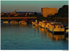 Dresden am Abend