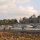 Dresden: Auf der anderen Seite der Elbe – ein wenig Naturgefühl 03