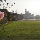 Dresden Augustusbrücke