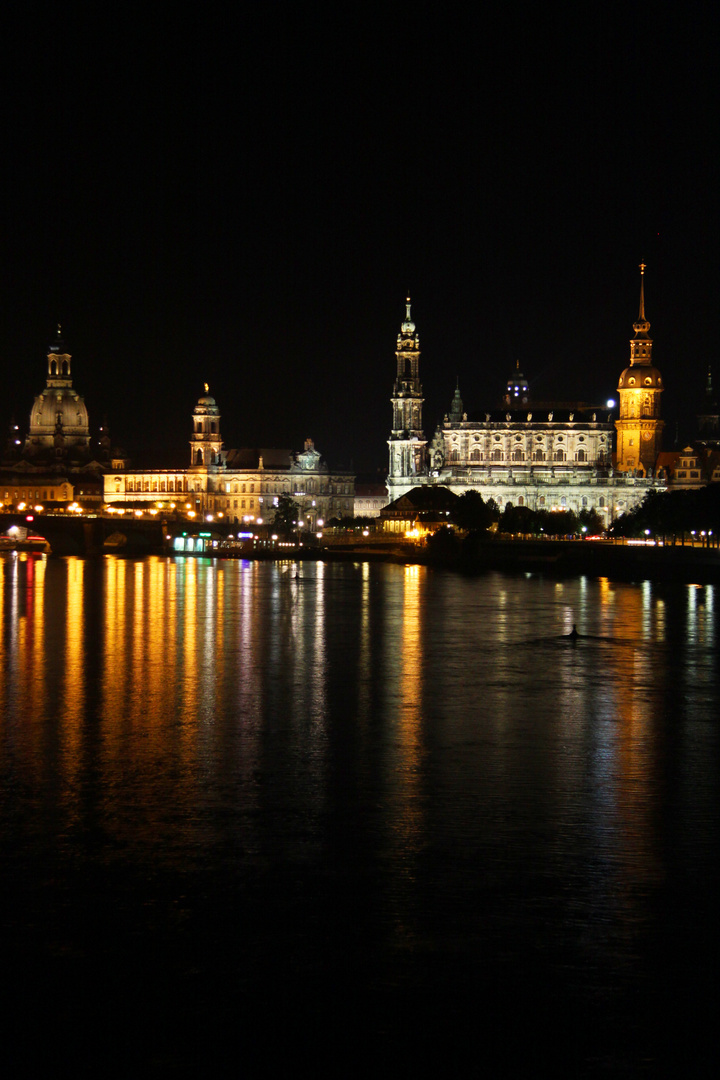 Dresden bei Nacht (Blick von der Marienbrücke)