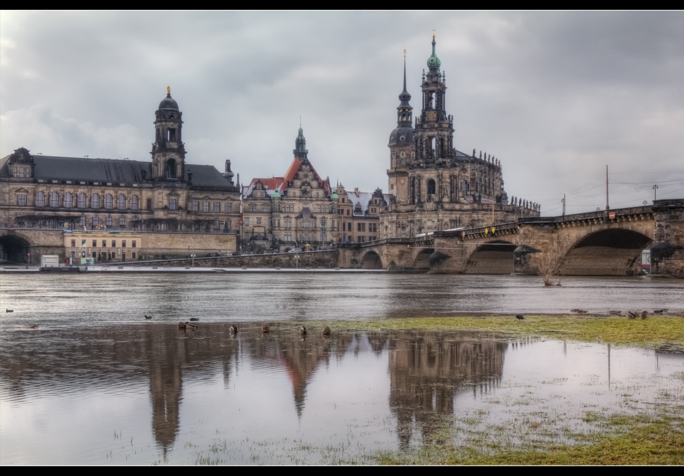 Dresden City 10