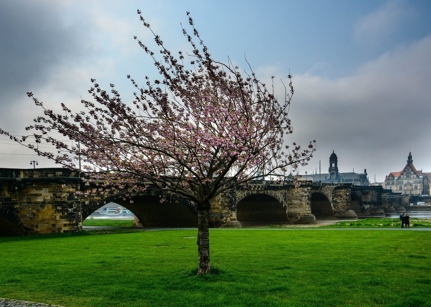 Dresden