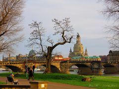 Dresden - Da wo einst Canaletto stand.