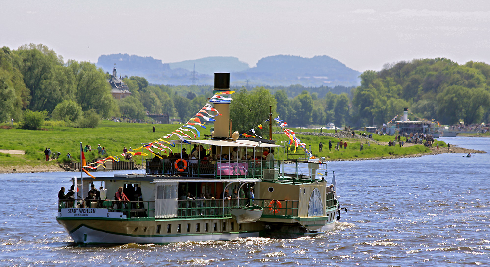 Dresden- Dampfer Stadt Wehlen