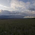 Dresden (der Blick ins Tal)