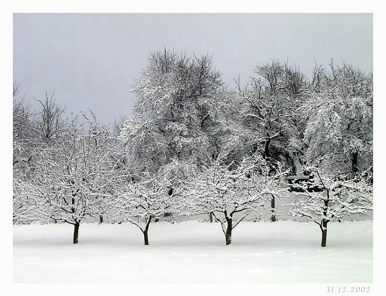 Dresden - der erste Schnee