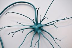 Dresden: Deutsches Hygienemuseum – Neuron (Nervenzelle)