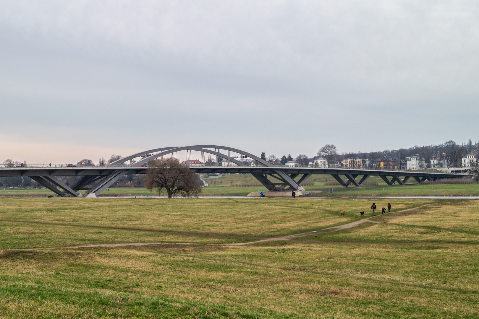 Dresden Elbauen