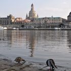 Dresden Elbblick