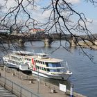 Dresden- Elbeufer