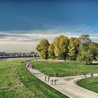 Dresden - Elbufer im Herbstlicht