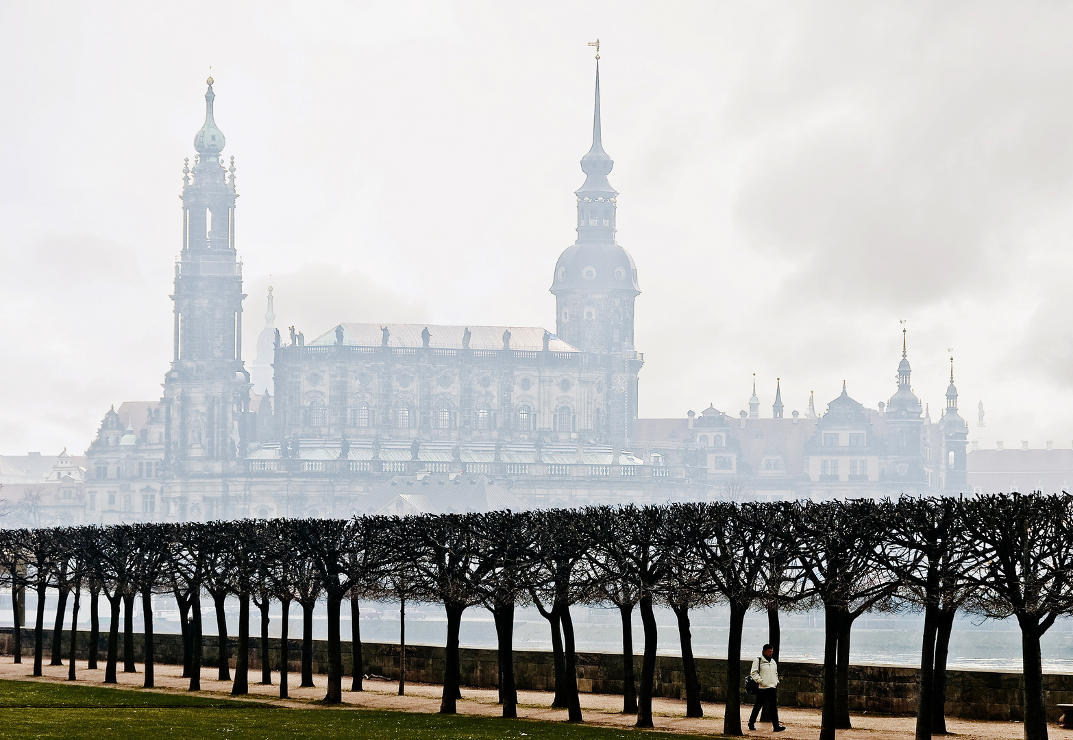 Dresden Elbufer mit Hofkirche