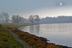 Dresden Elbwiese