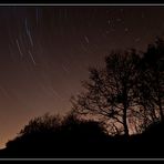 Dresden erhellt den Himmel