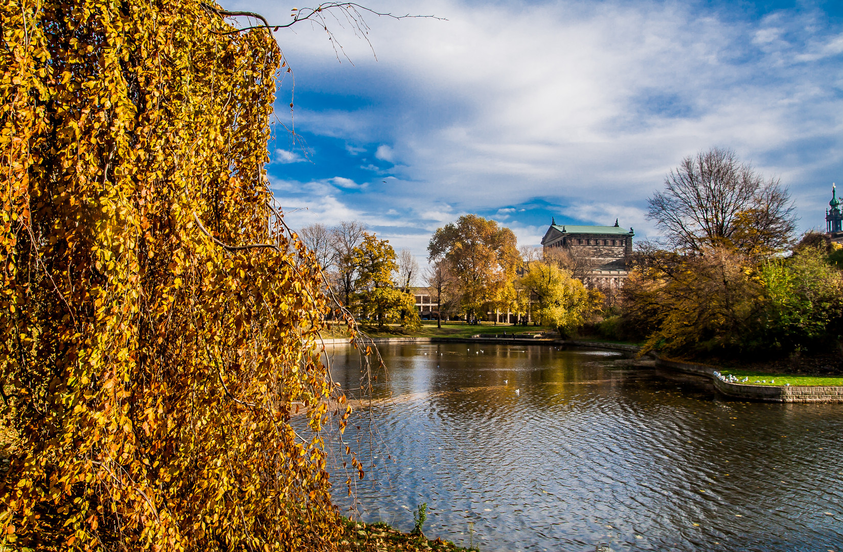 Dresden