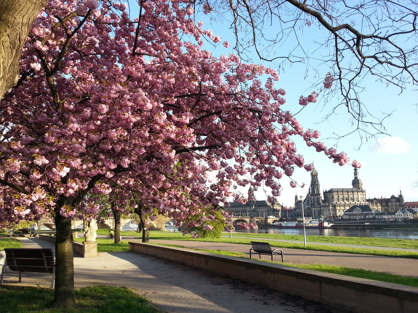 Dresden Frühling neben Canaletto Blick, Elbe