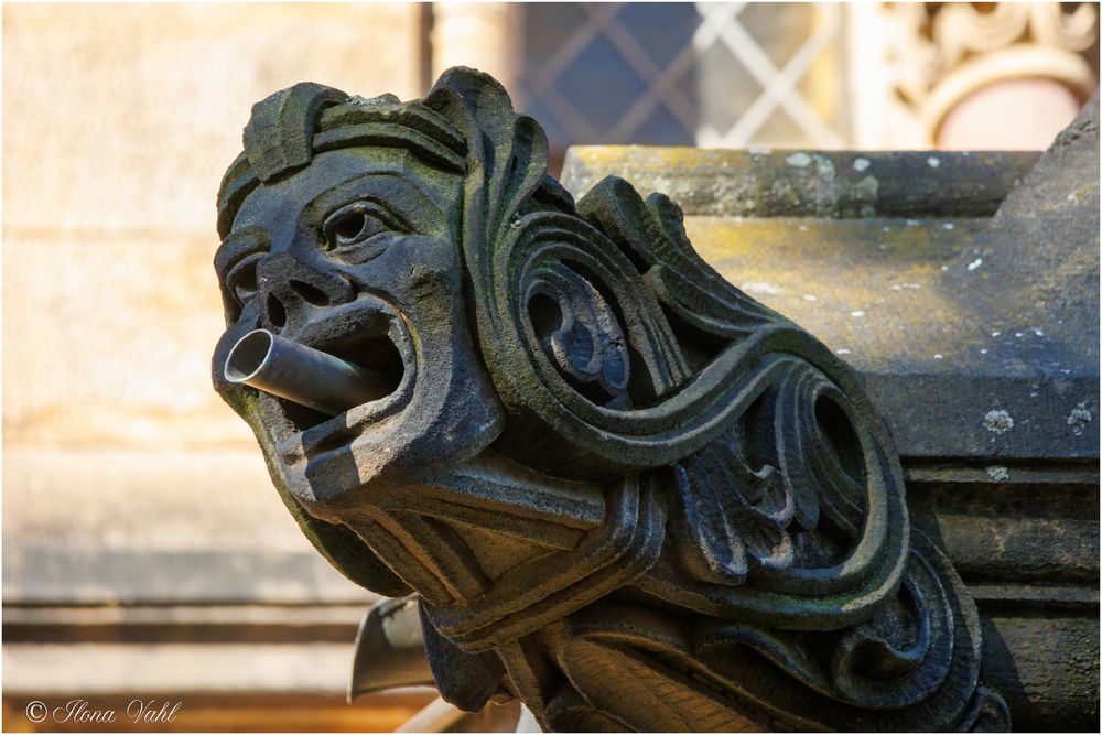 Dresden, Garnisionskirche