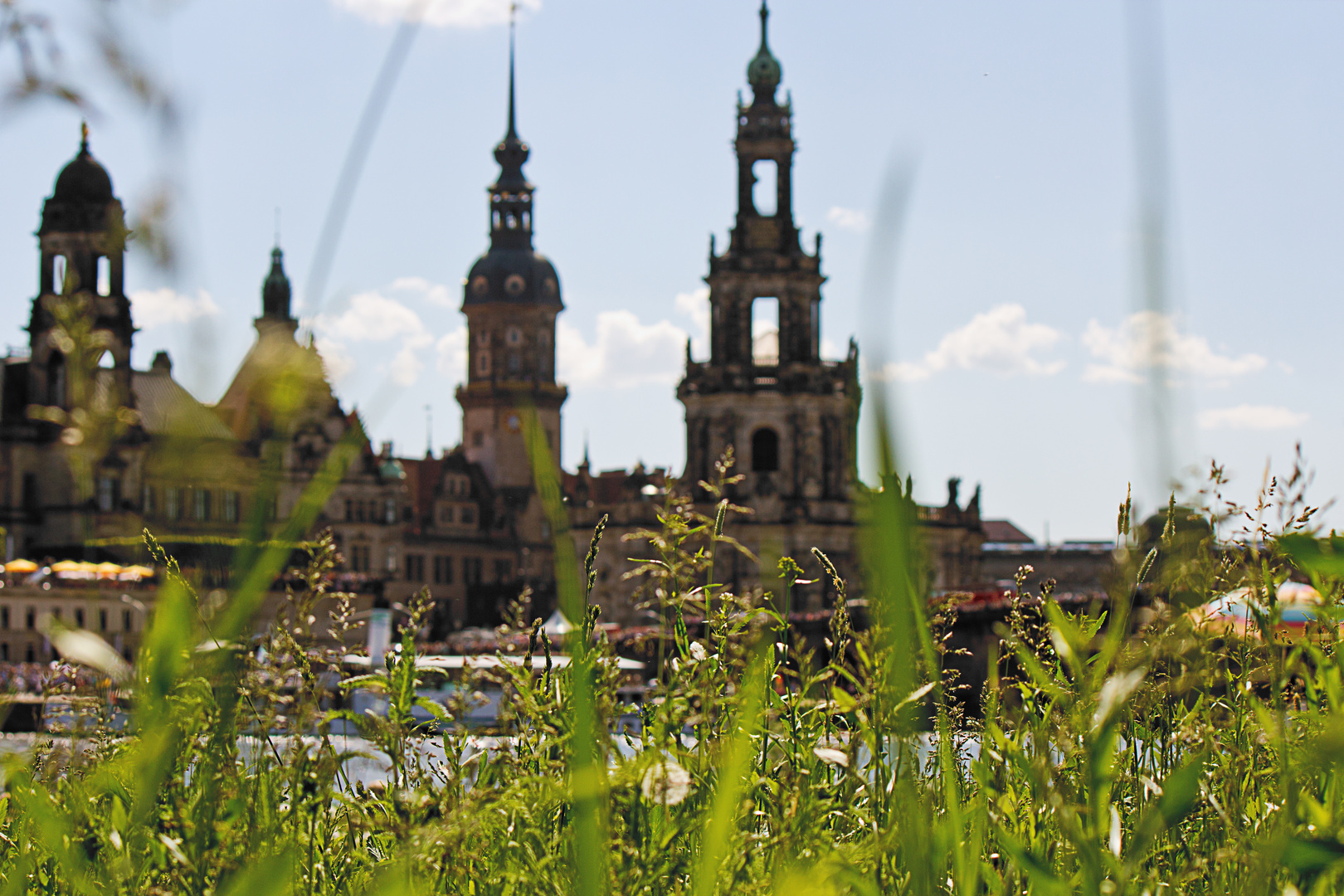 Dresden goes green