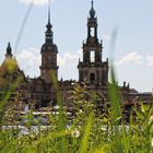 Dresden goes green