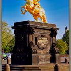 Dresden Goldener Reiter Augustus I  2019-04-30 002 (83) ©
