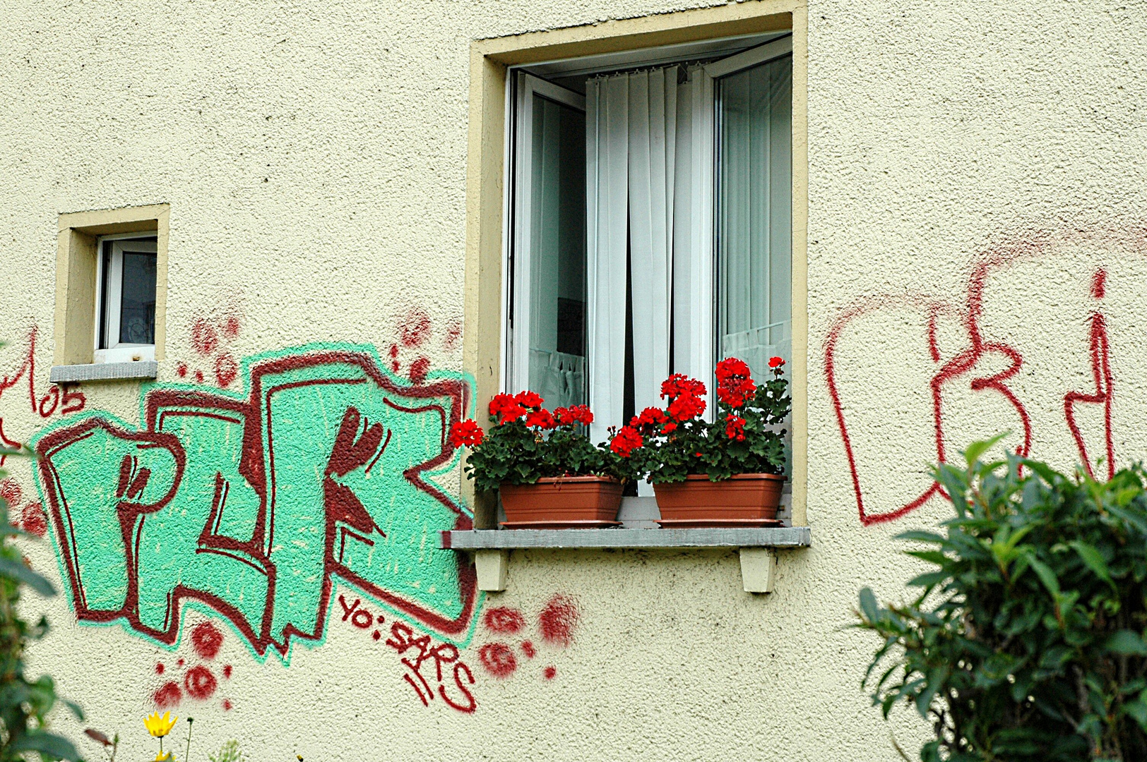 Dresden grafitty,including flowwers and windows as part of the composite view.