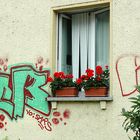 Dresden grafitty,including flowwers and windows as part of the composite view.