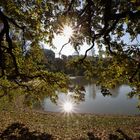 Dresden - Herbst - und - Die zwei Sonnen 