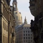 Dresden im Blick