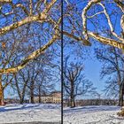 Dresden im Brühlschen Garten (3D)