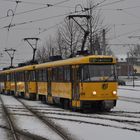 Dresden im  Schnee