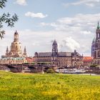 Dresden im Sommer