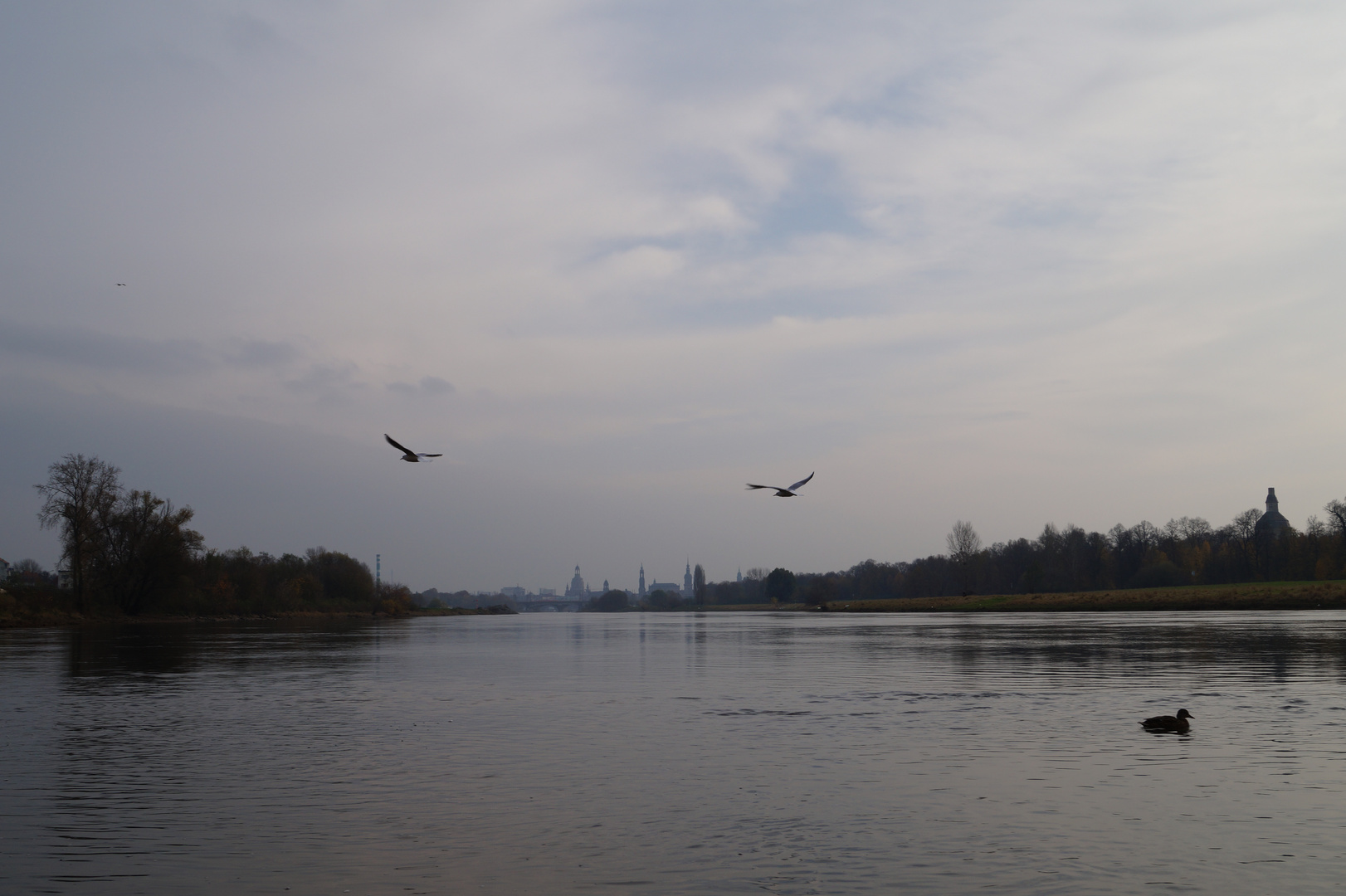 Dresden in der Ferne