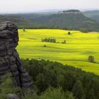 Dresden - Landschaft