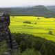 Dresden - Landschaft