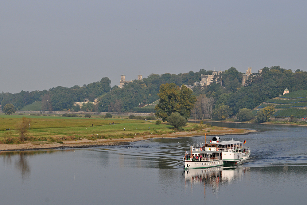 Dresden Loschwitz: Die Elbe