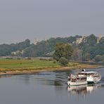 Dresden Loschwitz: Die Elbe