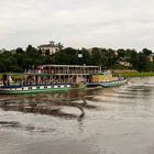 Dresden - Mit dem Dampfschiff unterwegs (3)