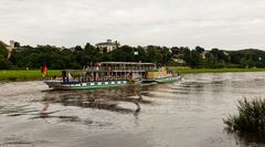 Dresden - Mit dem Dampfschiff unterwegs (3)