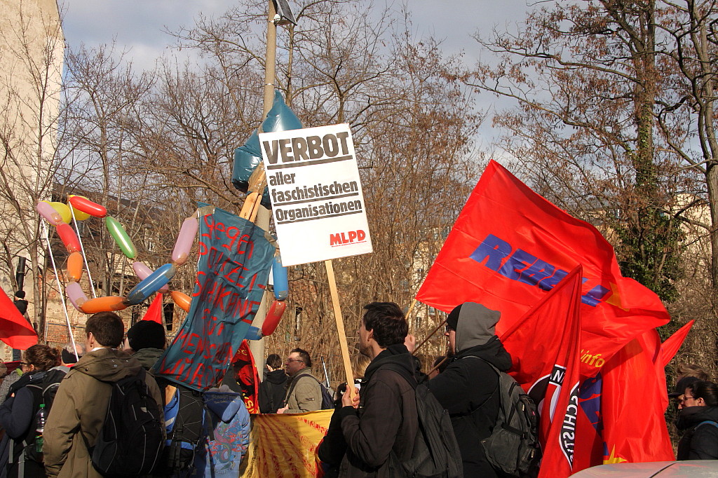 Dresden nazifrei (8)