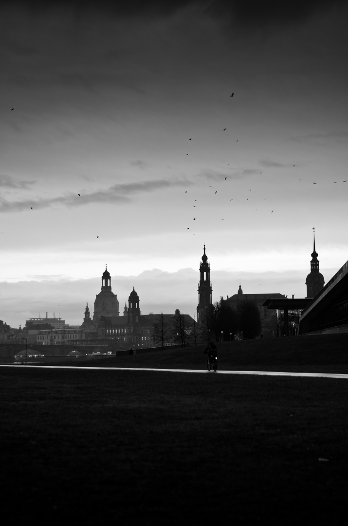 Dresden Silhouette 1