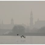 Dresden - Skyline