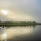 Dresden. Sonnenaufgang im Nebel.