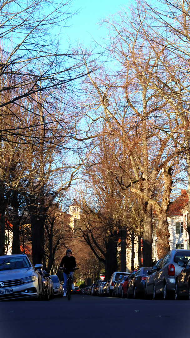 Dresden Stephanstraße - Blickachse nach Norden